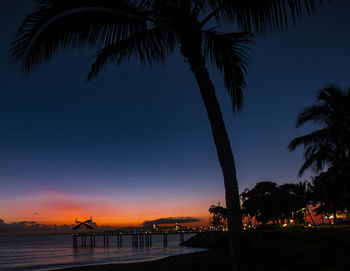 Palm trees on beach at sunset