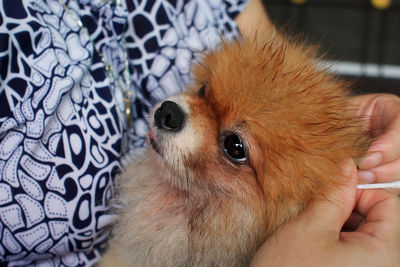 Close-up of woman with dog