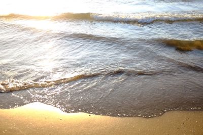 Close-up of wet shore at beach