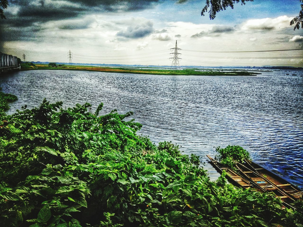 PLANTS AND SEA AGAINST SKY