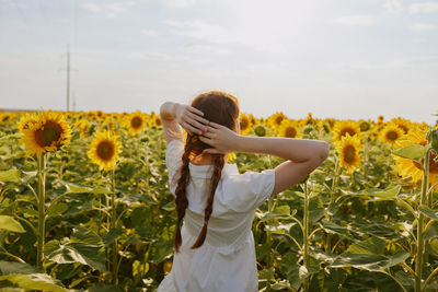 Rear view of woman standing in sunflower field