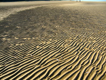 Sand dunes in a desert