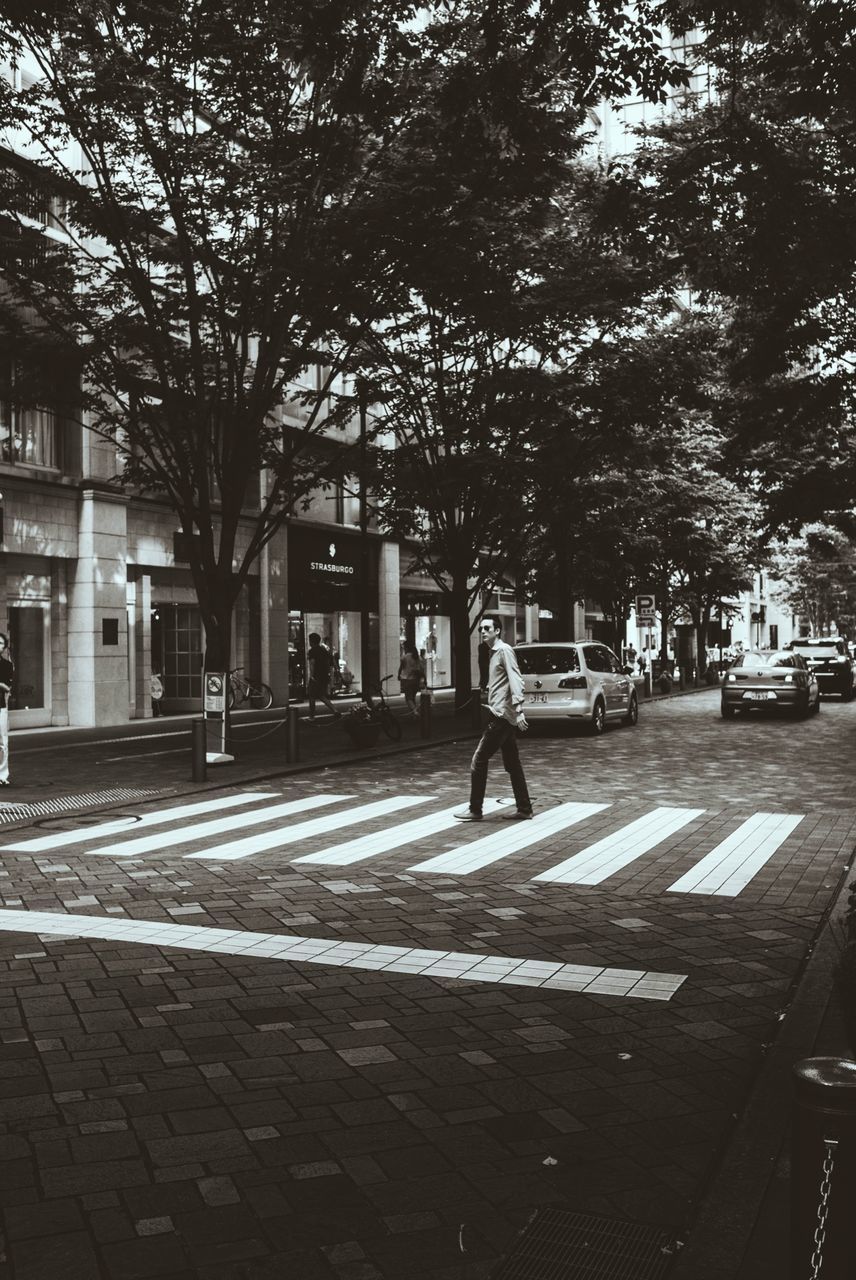 building exterior, street, tree, architecture, city, built structure, walking, city life, sidewalk, transportation, road, city street, incidental people, men, shadow, outdoors, sunlight, cobblestone, road marking