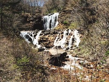 Scenic view of waterfall in forest