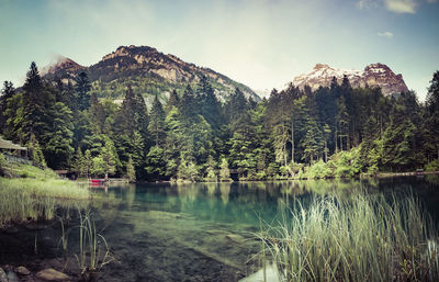 Scenic view of lake by trees against sky