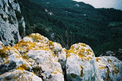 Close-up of yellow rock on mountain