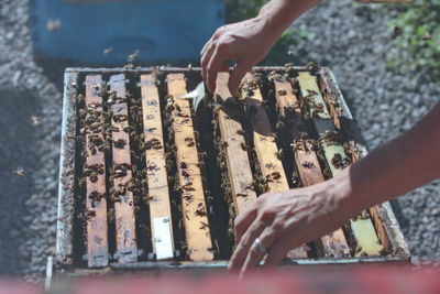 Close-up of person preparing food