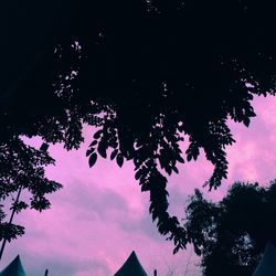 Low angle view of silhouette trees against sky at night