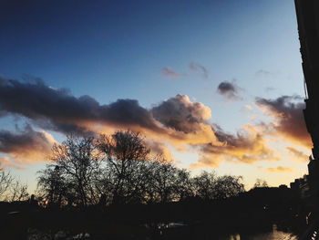 Low angle view of silhouette trees against sky at sunset