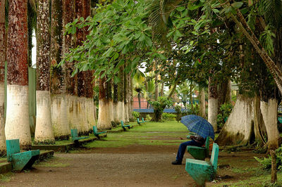 Man working in park