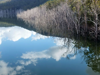 Reflection of clouds in water