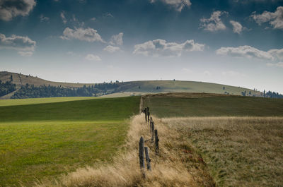 Man walking on field against sky