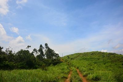 Scenic view of field against sky