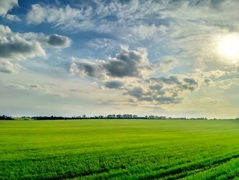 Scenic view of agricultural field against sky