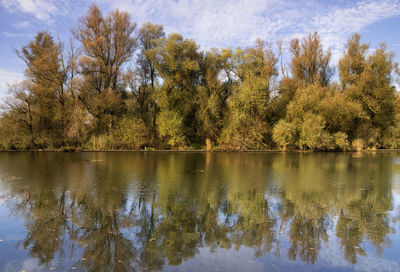 Scenic view of lake by trees against sky