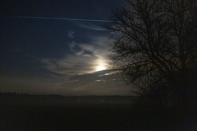 Silhouette of bare tree against sky at night