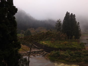 Scenic view of landscape against sky during foggy weather