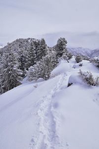 View from little black mountain peak winter snow hiking, wasatch front rocky mountains, utah. usa