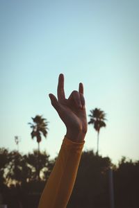 Close-up of human hand against sky during sunset