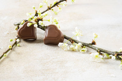 Close-up of heart shape chocolates and flowers