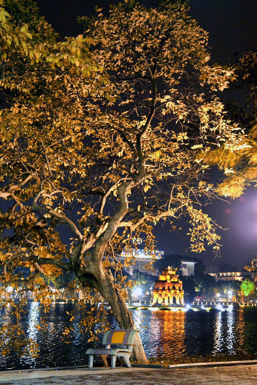 ILLUMINATED TREE BY LAKE