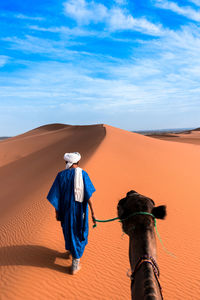 View of a horse on desert