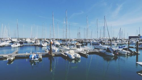 Sailboats moored at harbor against blue sky