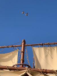 Low angle view of bird flying against clear blue sky