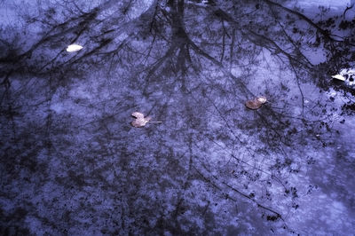 High angle view of a lake