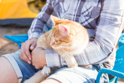 Midsection of man with cat sitting on floor