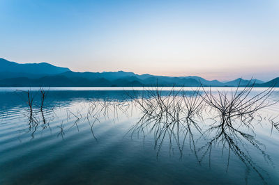 Scenic view of lake against clear blue sky