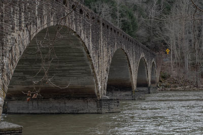 Arch bridge over river in forest
