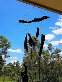 Low angle view of bird hanging on tree against sky