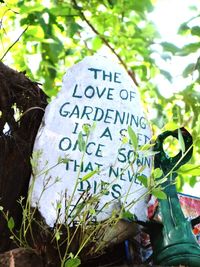 Low angle view of text on plant