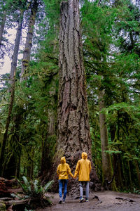 Rear view of couple walking in forest