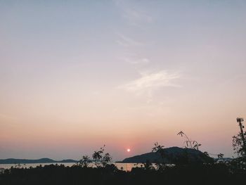 Silhouette trees against sky during sunset