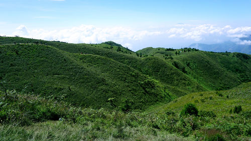 Scenic view of landscape against sky