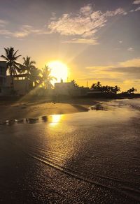 Scenic view of beach against sky during sunset