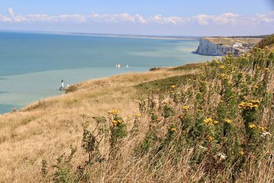 Scenic view of sea against sky