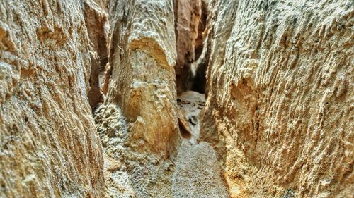 Close-up of cave