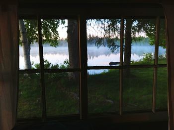 Trees seen through window