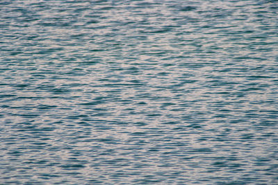 Full frame shot of rippled water