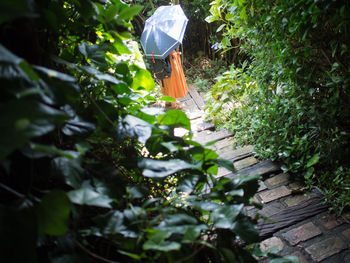 Man working on plants