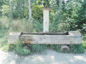 View of bench in park