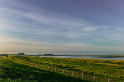Scenic view of agricultural field against sky