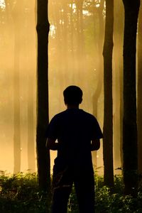 Rear view of man standing by trees in forest