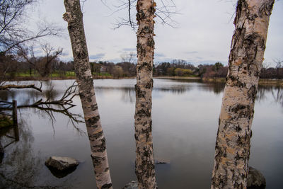 Reflection of trees in lake against sky