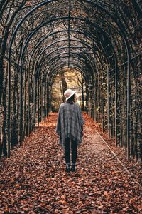 Rear view of woman standing on archway during autumn in forest