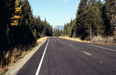 Road amidst trees against clear sky