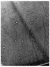 Full frame shot of wet sand